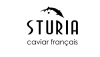 Logo - STURIA